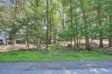 Lake Lot For Sale in Lake Ariel, Pennsylvania