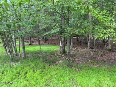 Lake Lot For Sale in Lake Ariel, Pennsylvania