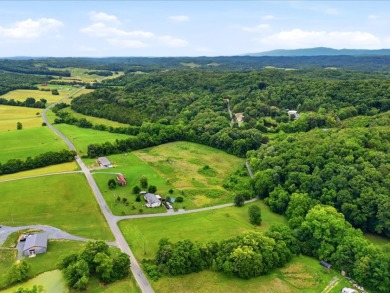 Cleared, Level, Unrestricted Lot - photo 8