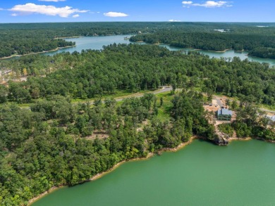 Slick Ford is one of the newest developments on Smith Lake - photo 3