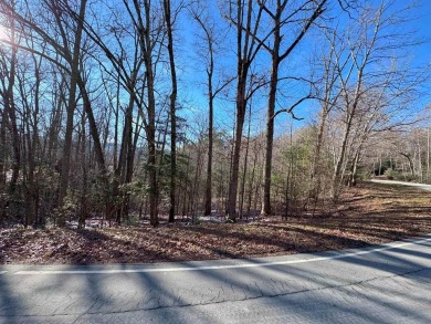 Lake Lot For Sale in Topton, North Carolina