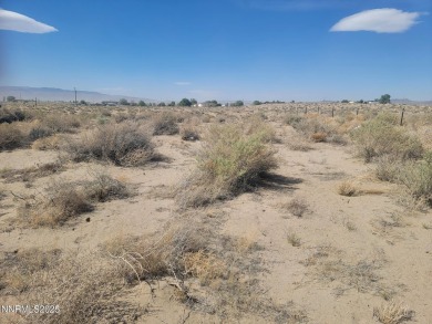 Lake Lahontan Acreage For Sale in Silver Springs Nevada