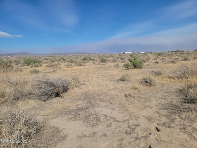 Lake Lahontan Lot For Sale in Silver Springs Nevada
