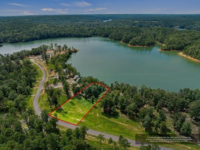 Slick Ford is one of the newest developments on Smith Lake - photo 2