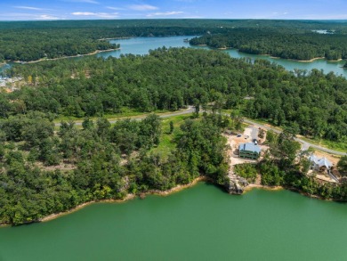 Slick Ford is one of the newest developments on Smith Lake - photo 3