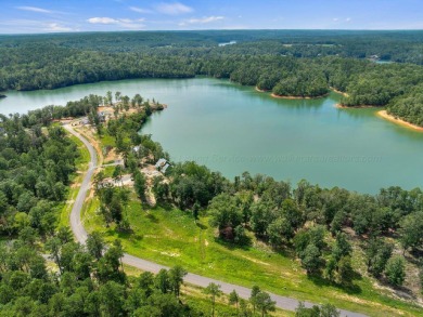 Slick Ford is one of the newest developments on Smith Lake - photo 4