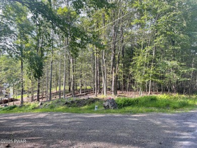 Lake Lot For Sale in Greentown, Pennsylvania