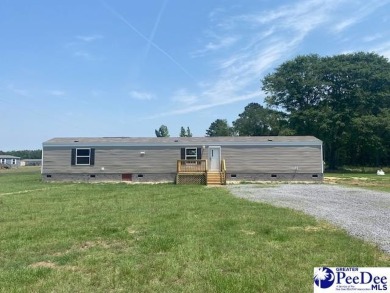 (private lake, pond, coastal) Home For Sale in Latta South Carolina