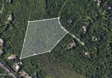 Lake Acreage For Sale in Shohola, Pennsylvania