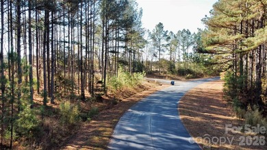 This level 2.15 acre property provides the flexibility to build - photo 11