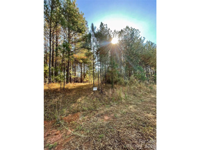 This level 2.15 acre property provides the flexibility to build - photo 13