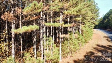 This level 2.15 acre property provides the flexibility to build - photo 14