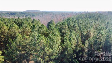 This level 2.15 acre property provides the flexibility to build - photo 16