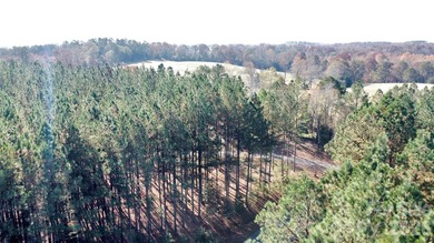 This level 2.15 acre property provides the flexibility to build - photo 17