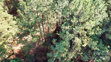 This level 2.15 acre property provides the flexibility to build - photo 18