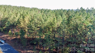 This level 2.15 acre property provides the flexibility to build - photo 20