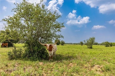 Lake Acreage For Sale in Columbus, Texas