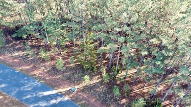 This level 2.15 acre property provides the flexibility to build - photo 22