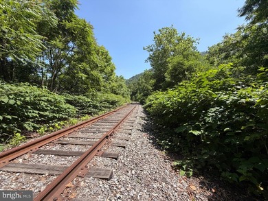 Discover the endless possibilities with this exceptional 30+/- - photo 15
