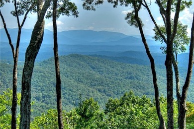 THIS ONE OF A KIND RUSTIC home on private 2.14 acre lot in the