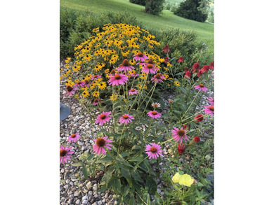 Nestled in Verona and on the outskirts of Mt. Horeb you have - photo 18