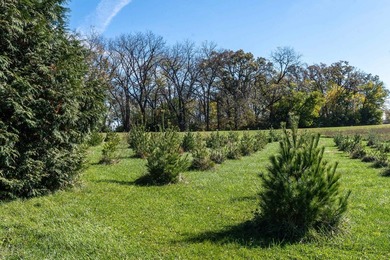 Nestled in Verona and on the outskirts of Mt. Horeb you have - photo 19