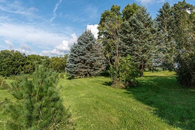 Nestled in Verona and on the outskirts of Mt. Horeb you have - photo 21