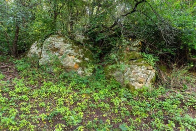 Nestled in Verona and on the outskirts of Mt. Horeb you have - photo 29