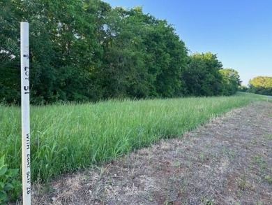 Lake Lot For Sale in Decatur, Tennessee
