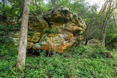 Nestled in Verona and on the outskirts of Mt. Horeb you have - photo 32