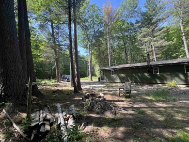 New in 2023 is this Adirondack camp located at 33 Dogwood Street - photo 2