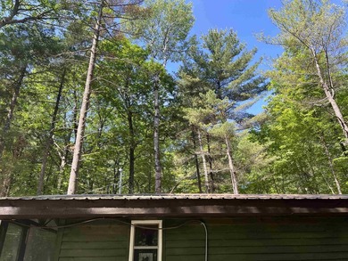 New in 2023 is this Adirondack camp located at 33 Dogwood Street - photo 4
