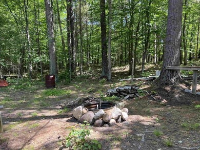 New in 2023 is this Adirondack camp located at 33 Dogwood Street - photo 6