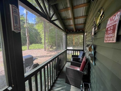 New in 2023 is this Adirondack camp located at 33 Dogwood Street - photo 9