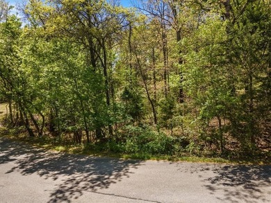 Hard to Find--Great Buildable Lot that includes a 24 x 10 - photo 5