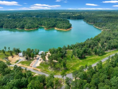 Slick Ford is one of the newest developments on Smith Lake - photo 5