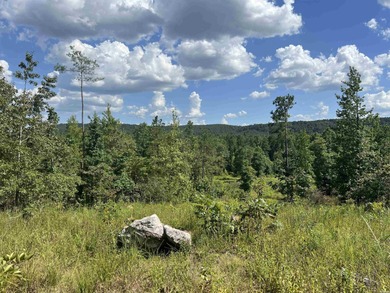 (private lake, pond, creek) Lot For Sale in Amity Arkansas