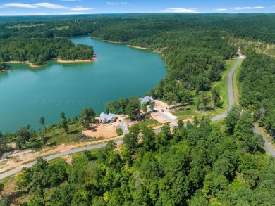 Slick Ford is one of the newest developments on Smith Lake - photo 3