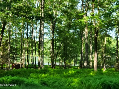 Lake Lot For Sale in Hawley, Pennsylvania