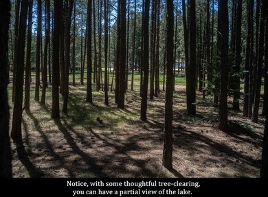 LAKE ACCESS | Lot 551, Cimarron Trail.... Tucked away in a - photo 11