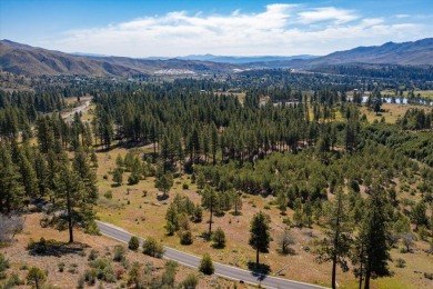 (pending lake) Acreage For Sale in Verdi California