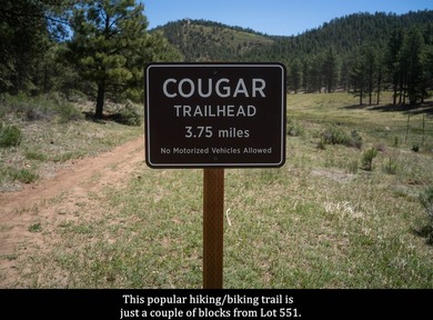 LAKE ACCESS | Lot 551, Cimarron Trail.... Tucked away in a - photo 13
