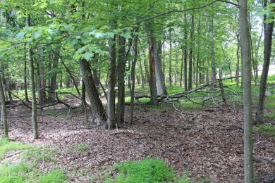 Lake Lot For Sale in Milford, Pennsylvania