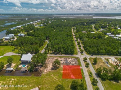 Build your dream home on this beautiful 90' x 125' cleared lot - photo 1