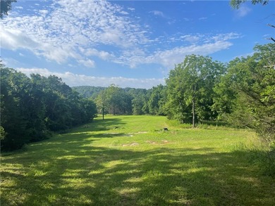 Rare opportunity to own beautiful acreage near Beaver Lake in - photo 3