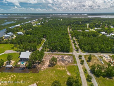Build your dream home on this beautiful 90' x 125' cleared lot - photo 9