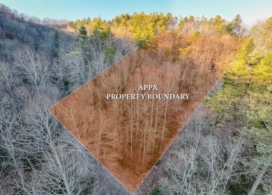 Lake Lot For Sale in Topton, North Carolina