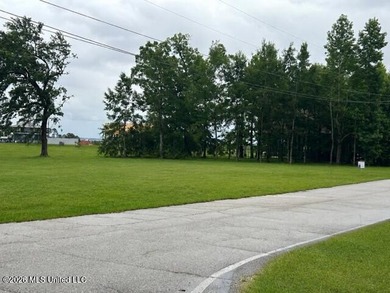 Build your dream home on this beautiful 70' x 100' cleared lot - photo 1
