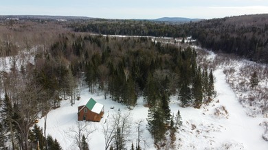 (private lake, pond, coastal) Home For Sale in Harmony Maine
