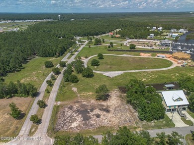 Build your dream home on this beautiful 70' x 100' cleared lot - photo 8